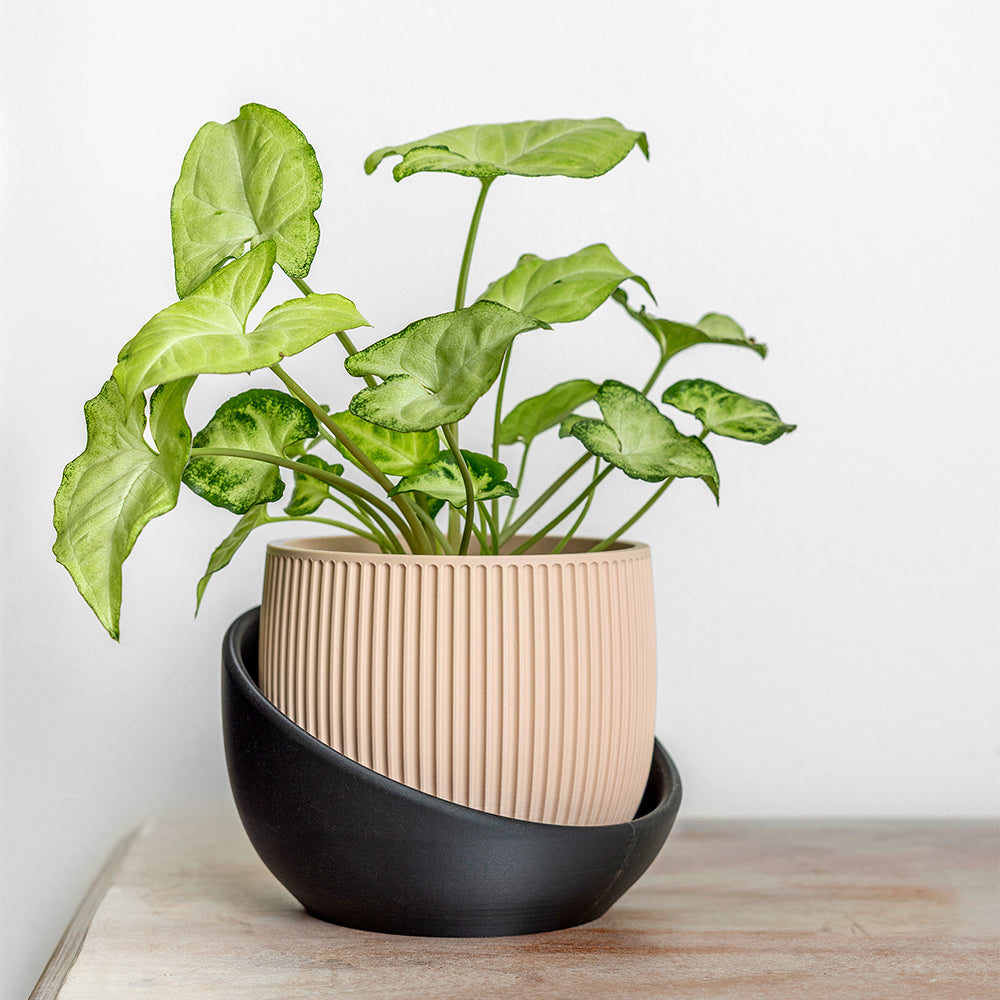 The Cradle Planter (Tabletop)