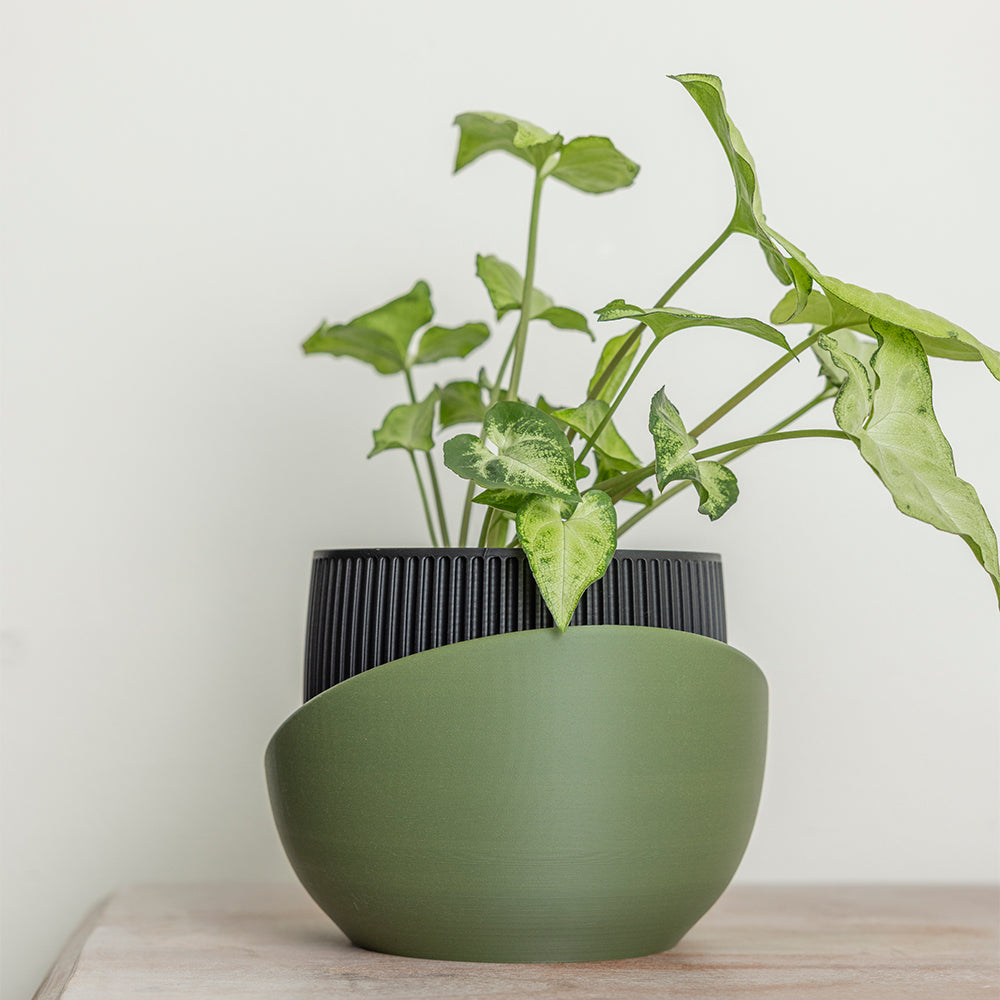 The Cradle Planter (Tabletop)