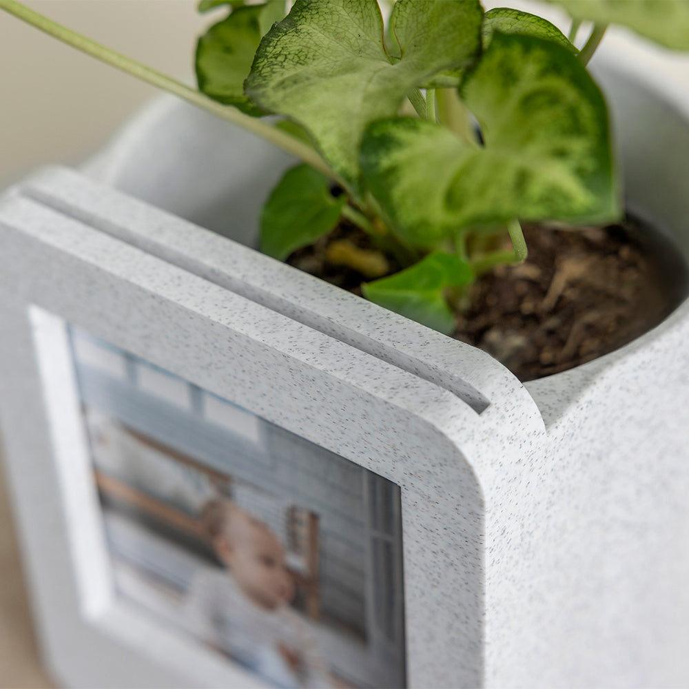 Photo Frame Planter (Tabletop)