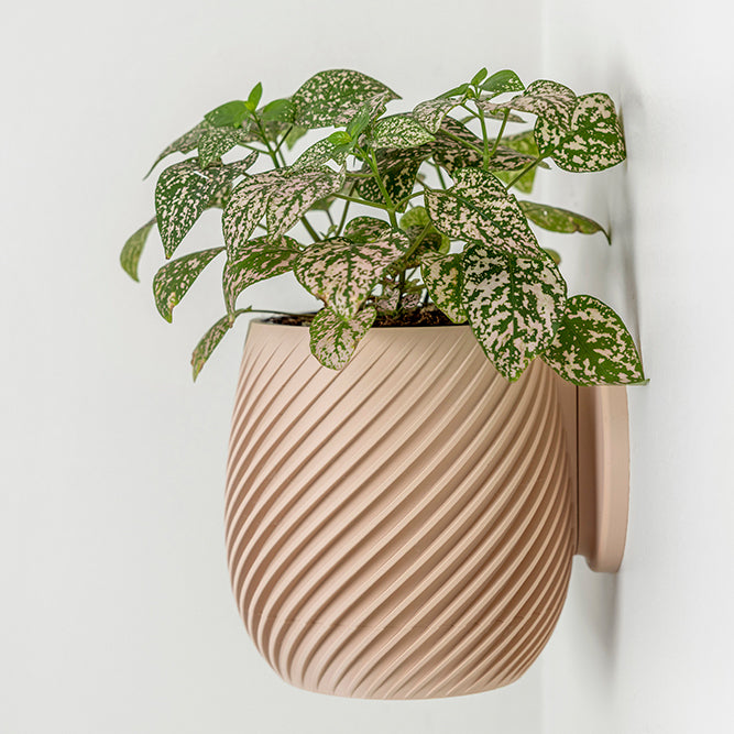 Spiral Ribbed Wall Planter