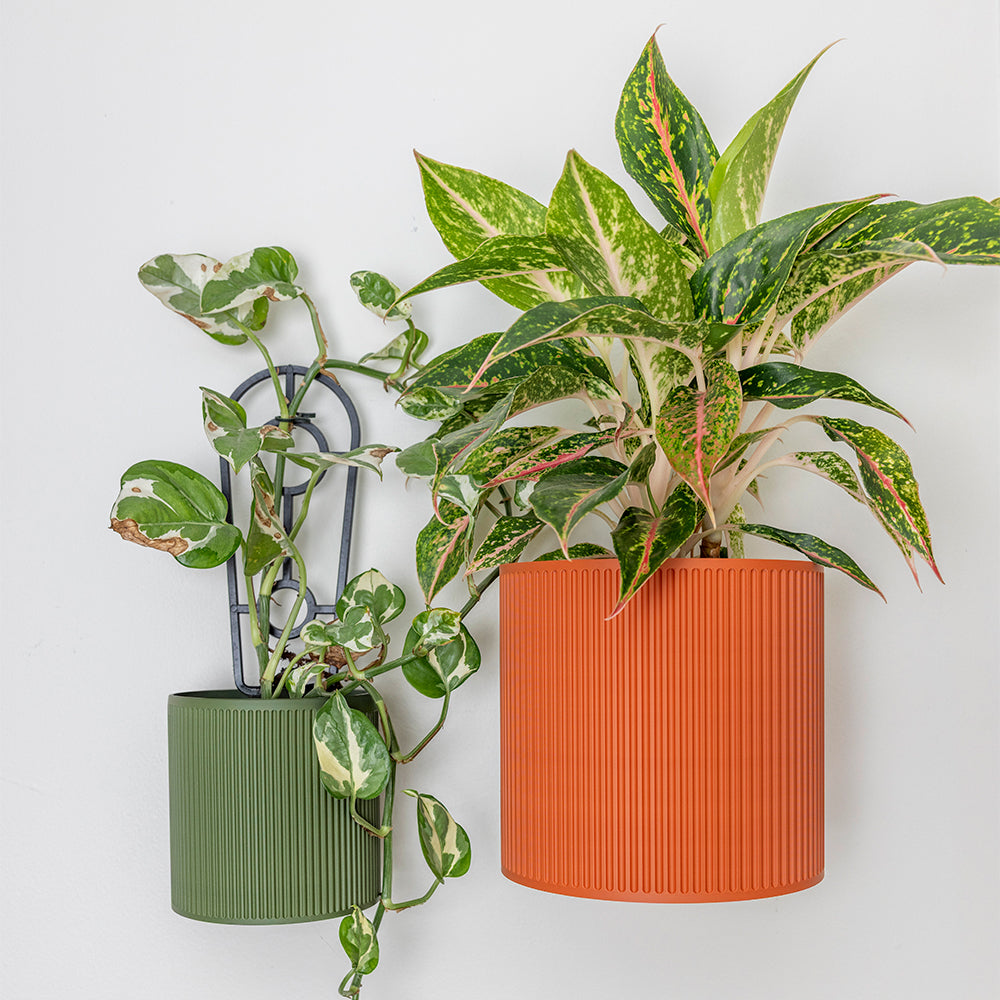 Vertical Ribbed Hive Wall Planter