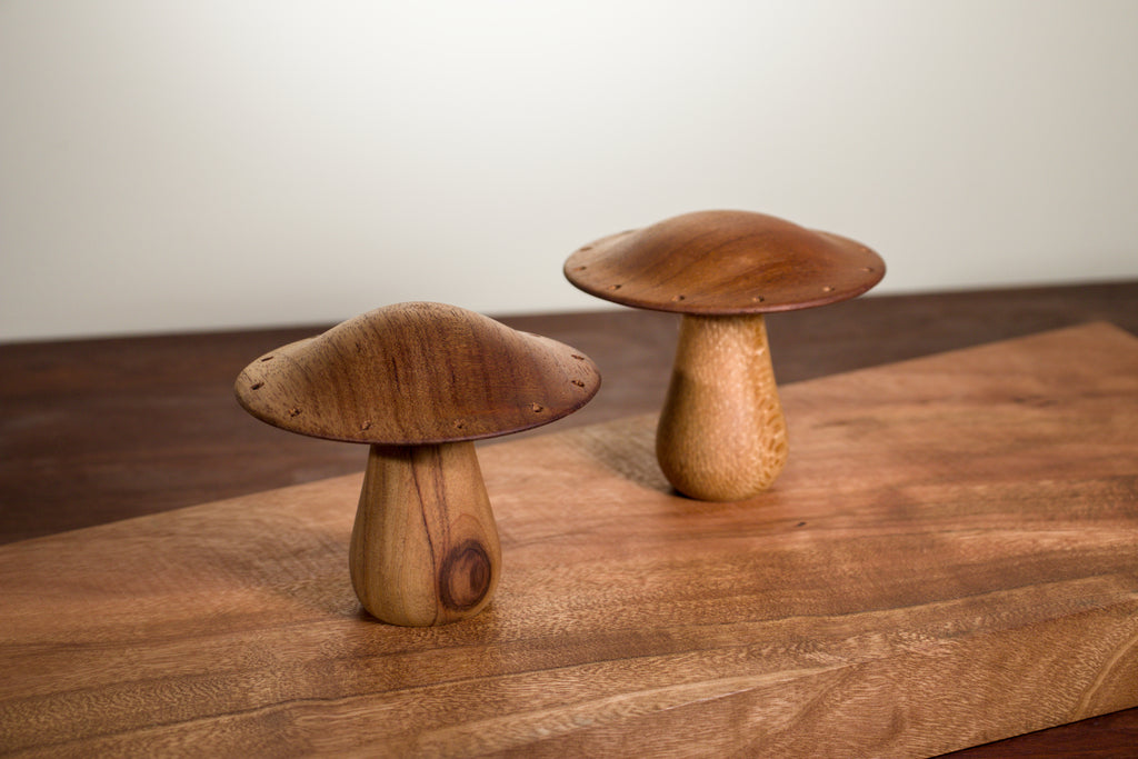 Mushroom Earring Holder