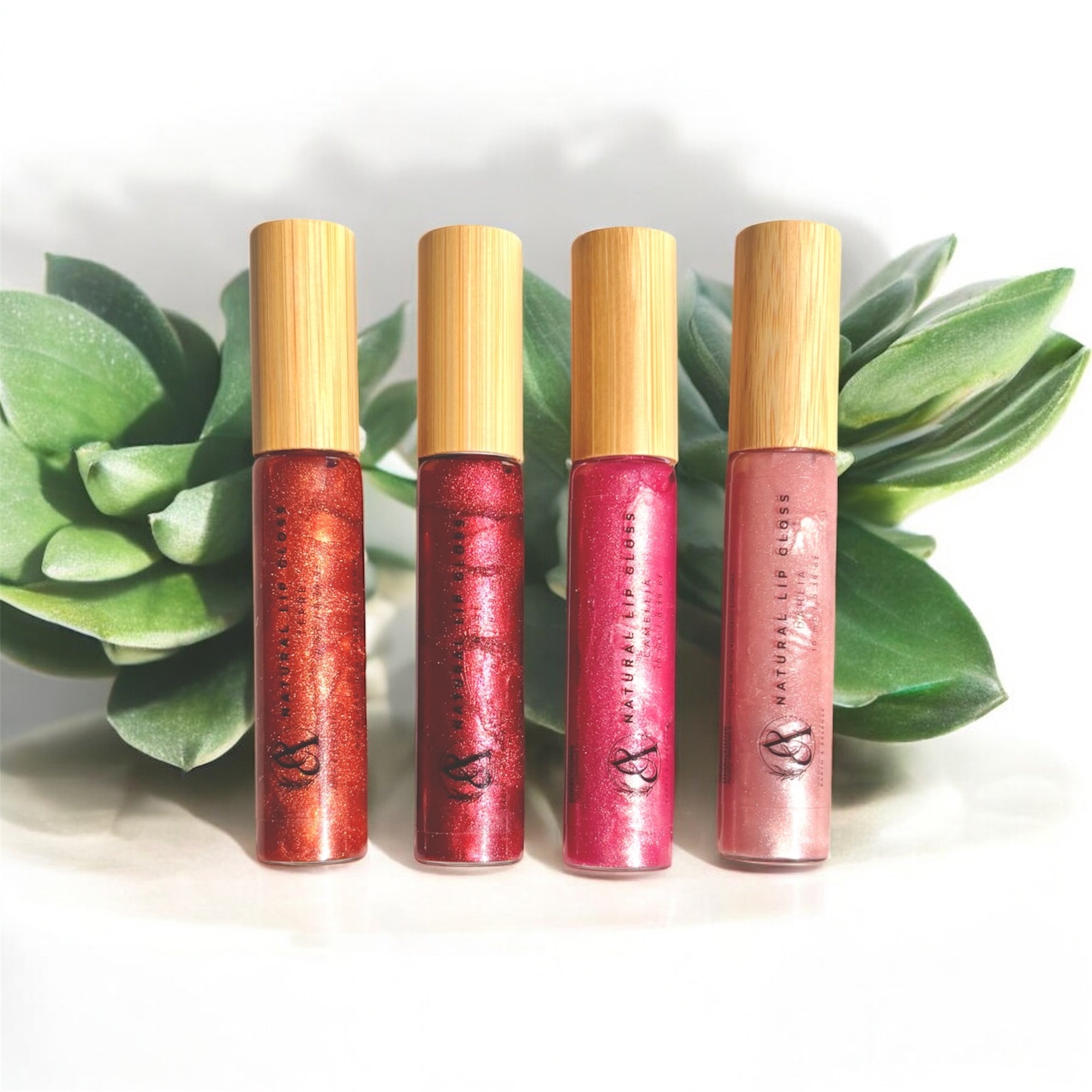 Natural Lip Gloss