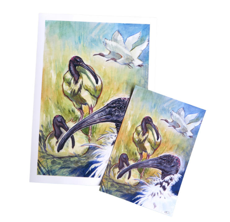 Ode to Ibis Print