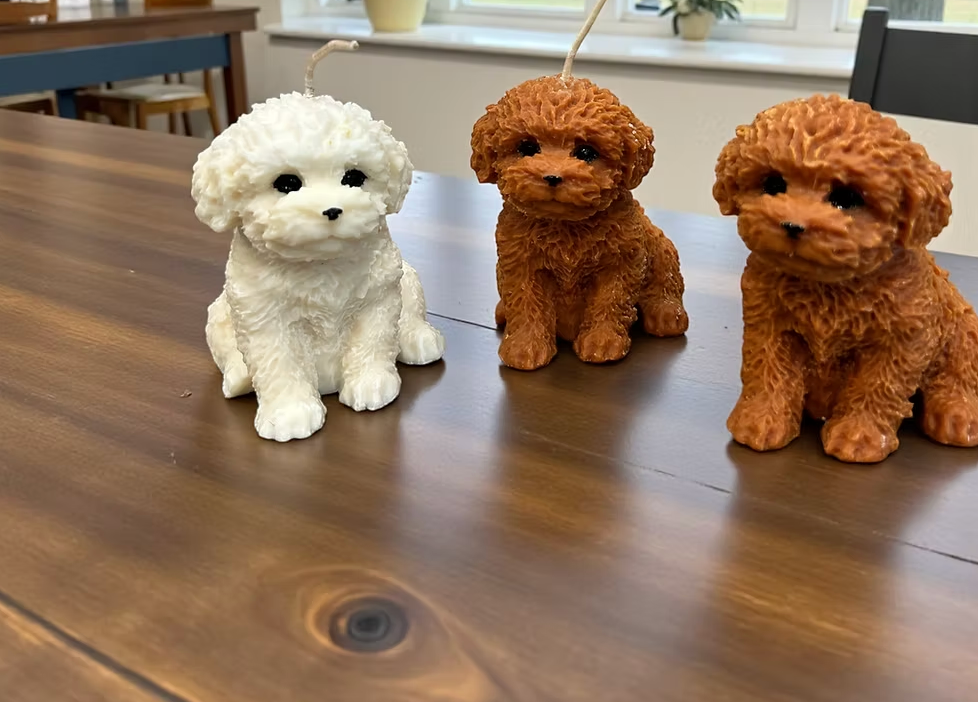 Cavoodle Pup White Candle