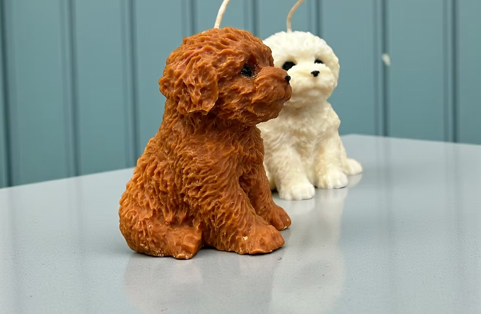Cavoodle Pup White Candle