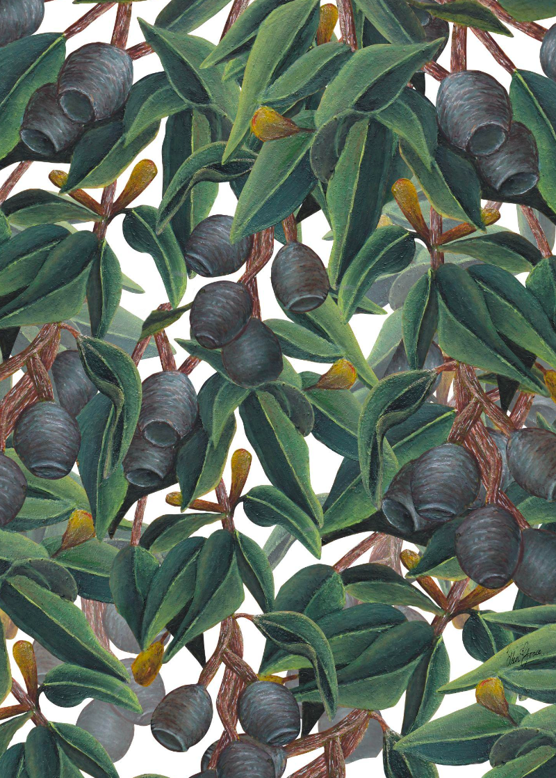 Eucalyptus Gum Leaves on Milk White Print