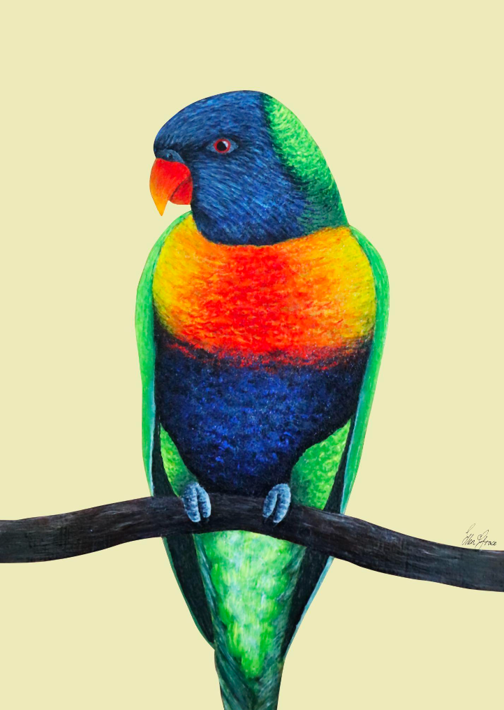 Perching Rainbow Lorikeet