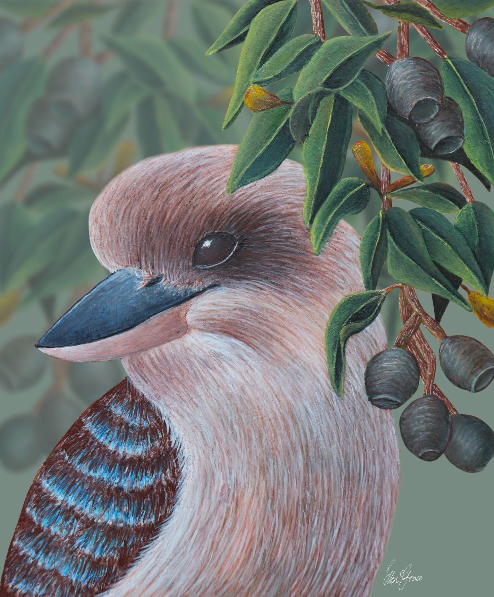 Kookaburra & Eucalyptus Print