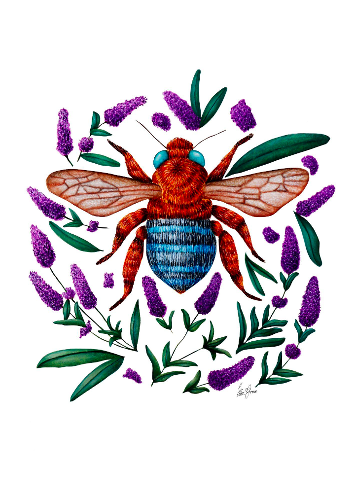 Lavender Bee on Cream Print