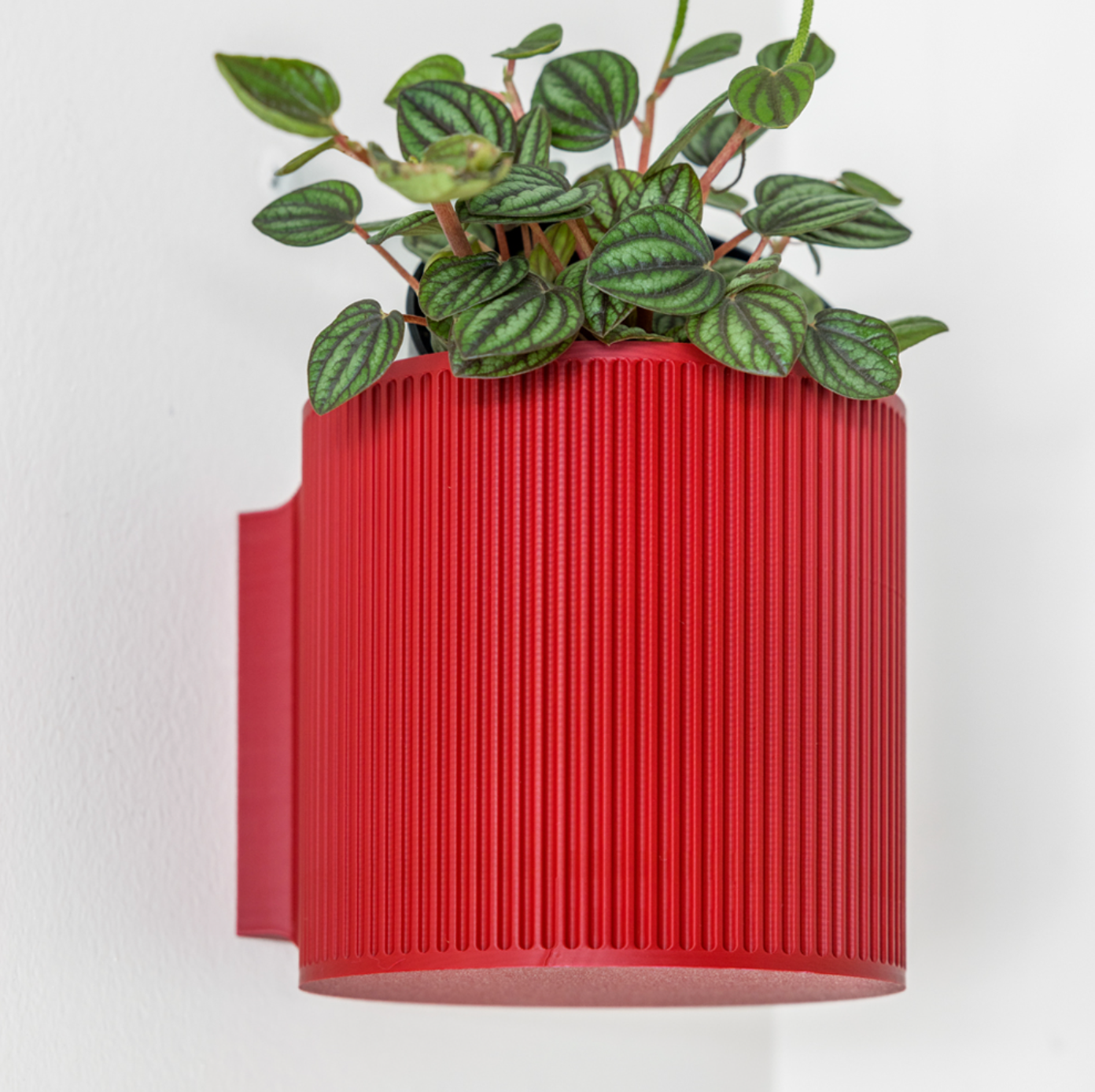 Vertical Ribbed Hive Wall Planter