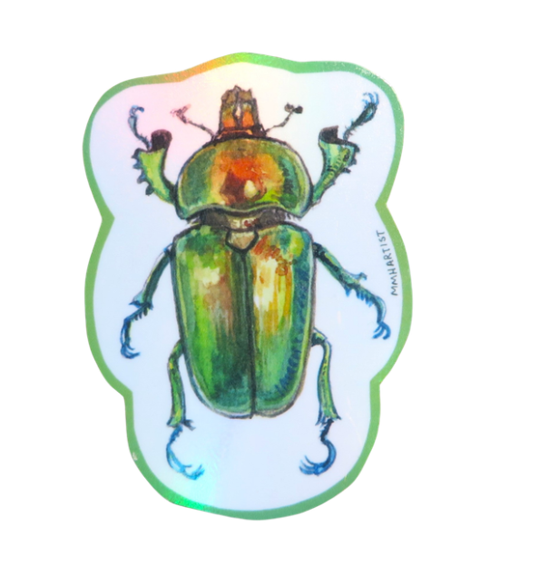 Assorted Holographic Stag Beetle Vinyl Stickers