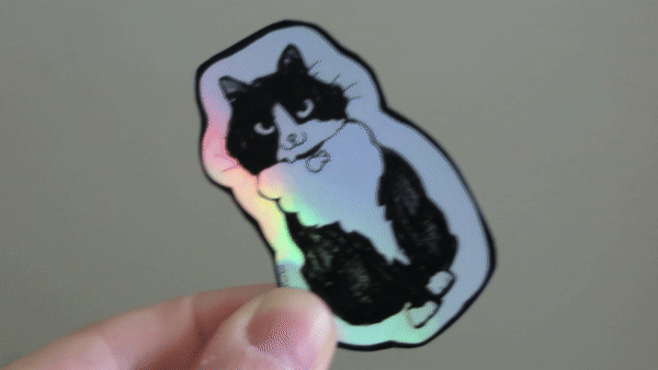 Anise the Cat Holographic Vinyl Sticker Set