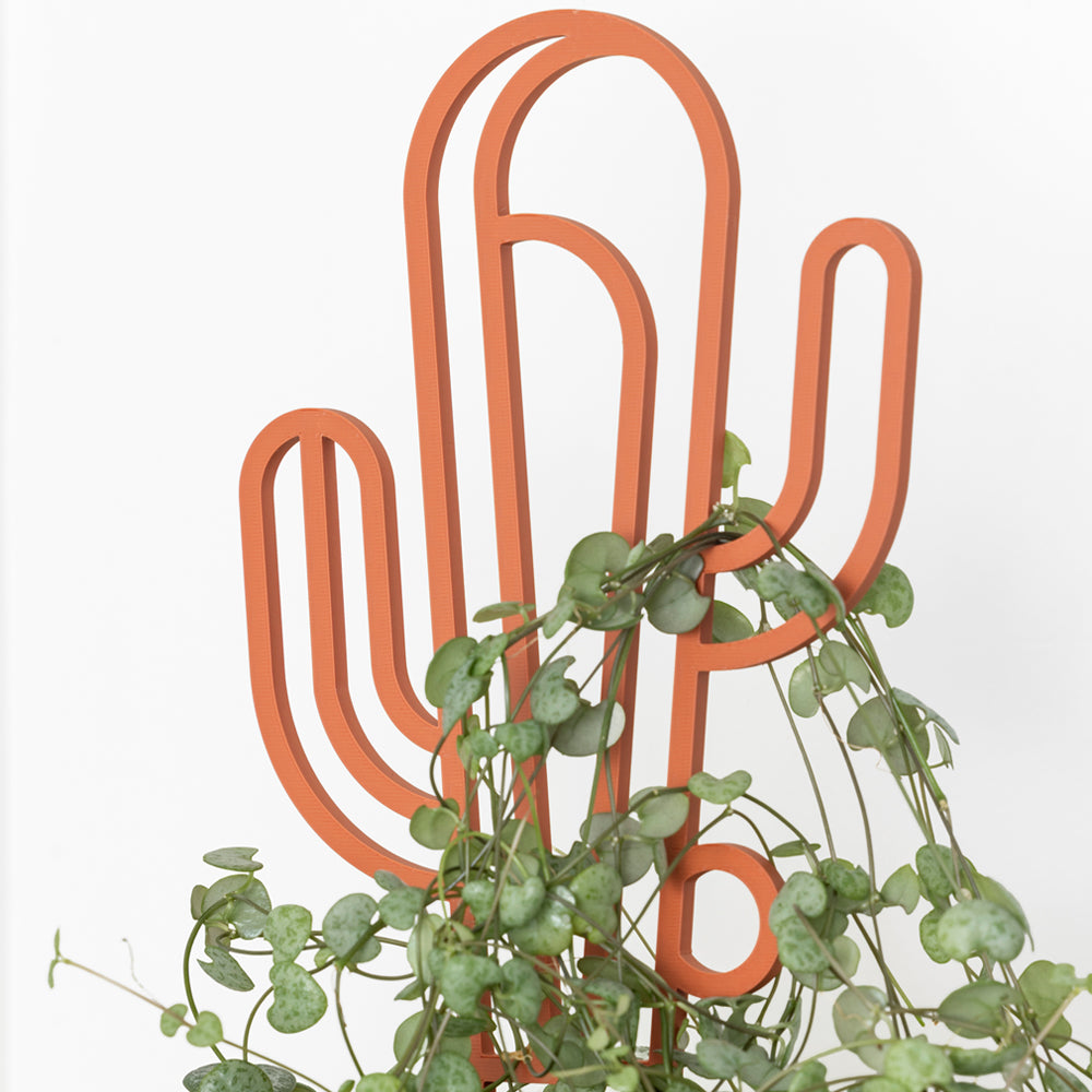 Plant Trellis - Various Designs