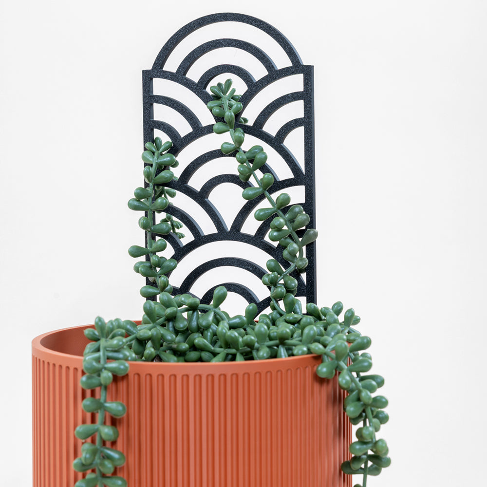 Plant Trellis - Various Designs